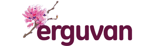 Erguvan Temizlik